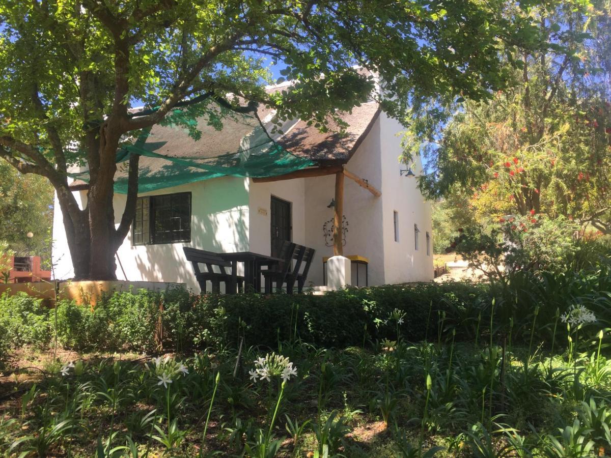 Villa Mooi Bly à Paarl Extérieur photo