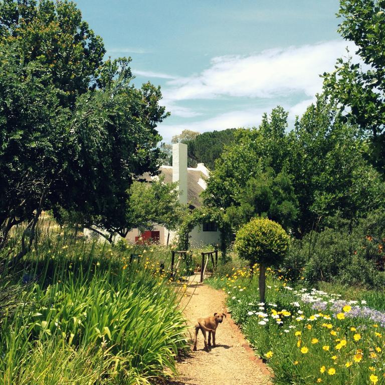 Villa Mooi Bly à Paarl Chambre photo