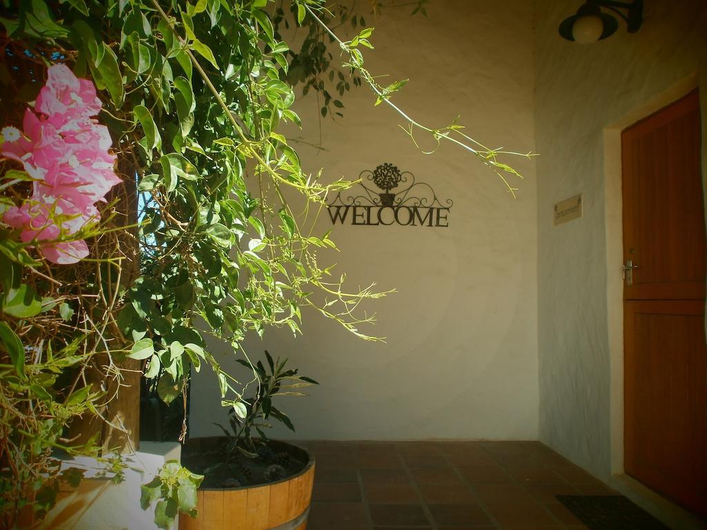 Villa Mooi Bly à Paarl Extérieur photo