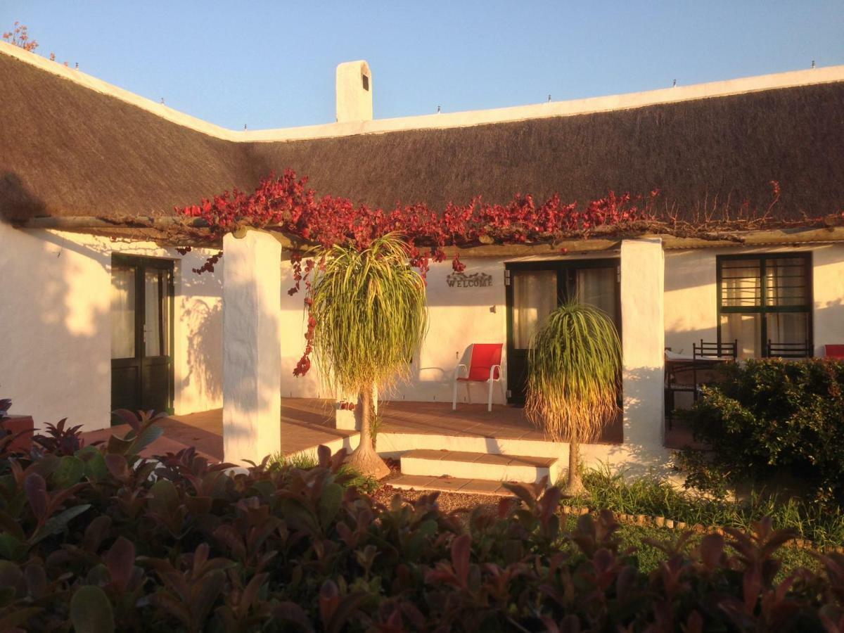 Villa Mooi Bly à Paarl Extérieur photo